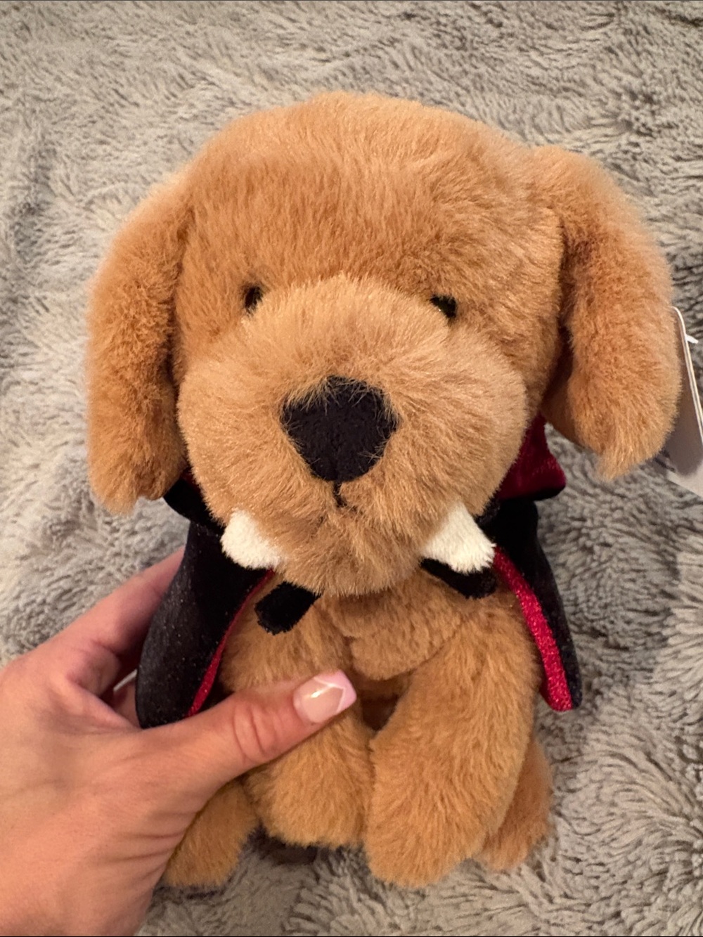 Mon Ami Dracula Dog with Vampire Cape - Cute Halloween Stuffed animal